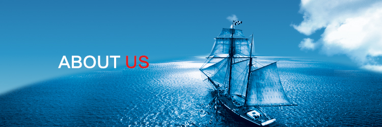 Z6�������й��ٷ���վ